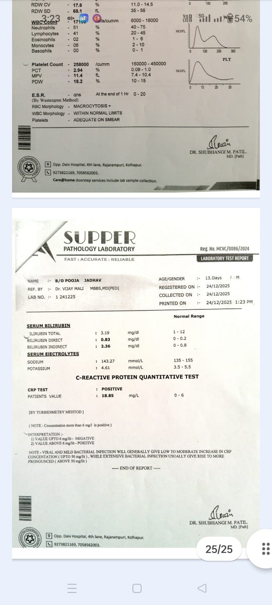 Doc 11