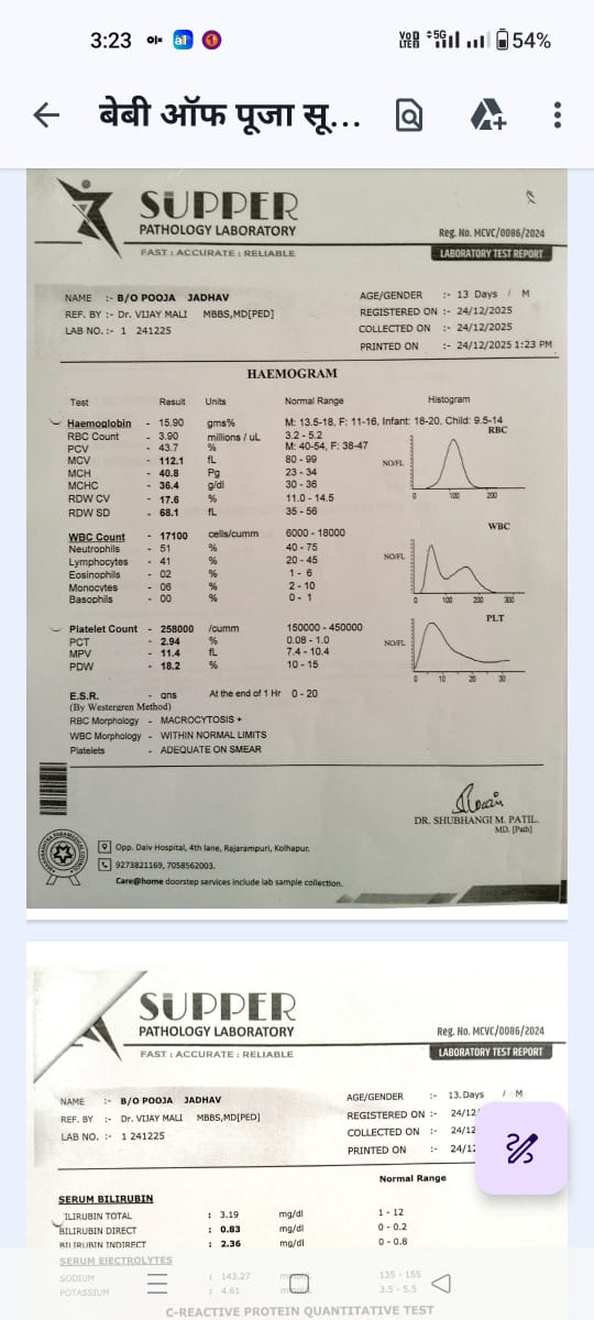 Doc 12