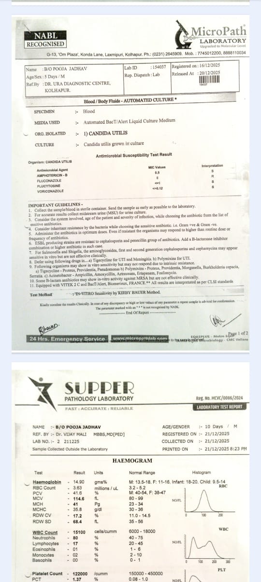 Doc 14