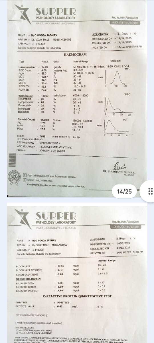 Doc 18