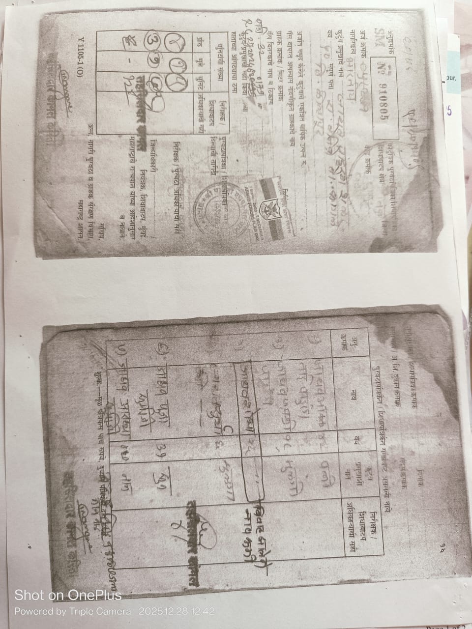 Doc 8